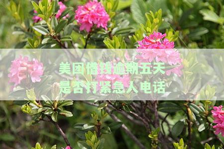 美团借钱逾期五天未还，应尽快还款，否则可能会影响个人信用。如果已经接到法院传票，建议积极应对并寻求解决方案。