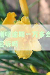 借呗逾期一万多会起诉吗，借呗逾期一万多是否会面临起诉？