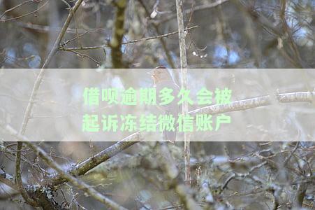 借呗逾期多久会导致所有银行卡被冻结？