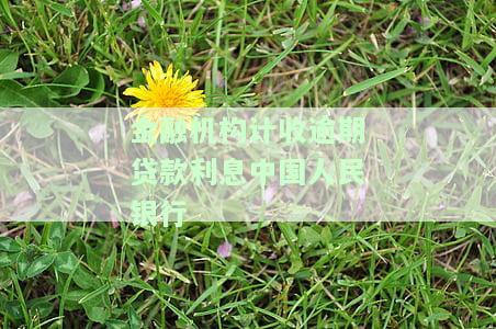 金融机构记收逾期贷款利率，掌握逾期贷款风险：理解金融机构的记收逾期贷款利率