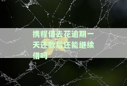 携程借去花逾期一天怎么就不能借款了，携程借去花逾期一天后无法借款，原因解析
