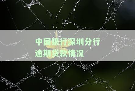 中国银行深圳分行逾期贷款情况怎么样？联系电话、官网及最新信息全知道！