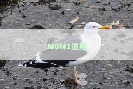 逾期M0多少天？详解M0-M6、M0/M1/M2逾期含义及处理方法