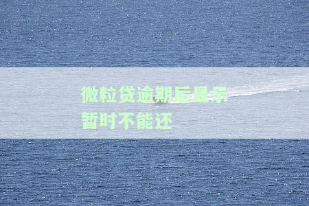 微粒贷逾期后还了款借不出来，显示何种情况？