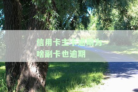 主卡不还钱联名副卡会逾期吗？影响如何？