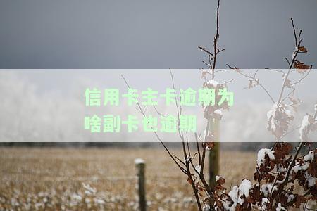 信用卡主卡逾期为啥副卡也逾期