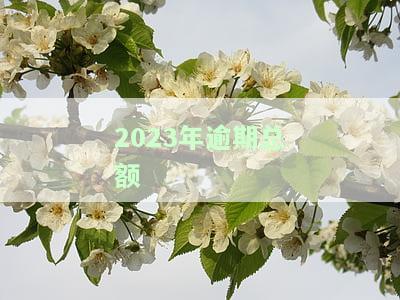 2021年逾期新政策，2021年逾期还款新政策出台，贷款人需知！