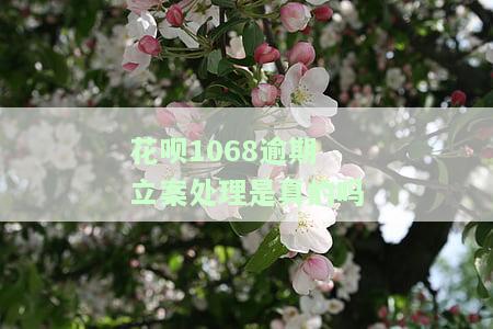 花呗逾期160多天打电话催收，是否会被起诉？