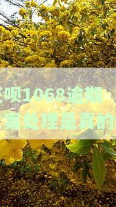 花呗1068逾期立案处理是真的吗-花呗1068逾期立案处理是真的吗吗