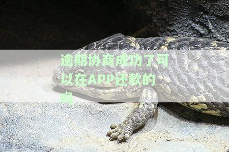 逾期协商成功了可以在还款的吗安全吗，成功协商还款后，能否在中进行？安全问题解析