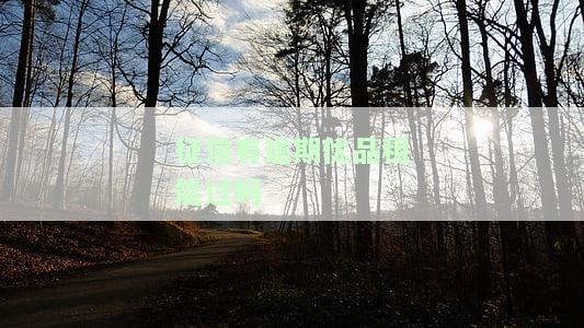 优品租逾期会怎么样，了解优品租逾期的后果
