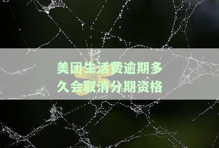 美团生活费逾期后还清逾期后,剩下的还可以分期还吗，美团生活费逾期还款后，剩余金额是否可以分期偿还？