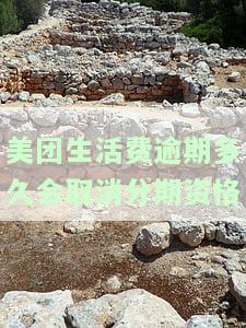 美团生活费逾期多久会取消分期资格-美团生活费逾期多久会取消分期主要还款?