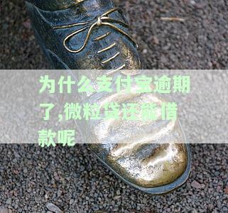 支付宝微贷逾期：如何查看及还款？