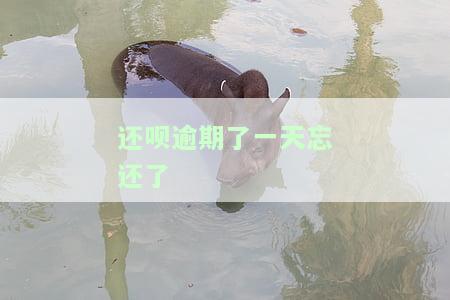 还呗逾期一天会怎样？影响、后果及是否会影响再次使用全面解析！