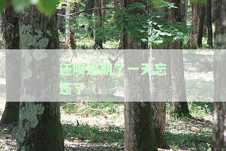 还呗逾期了一天忘还了-还呗逾期了一天忘还了怎么办