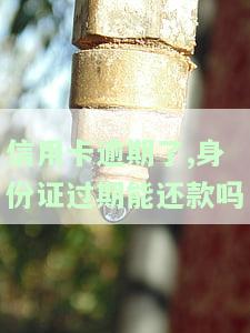 信用卡逾期了,身份证过期能还款吗