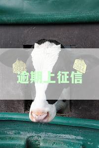 逾期上征信会影响孩子上学吗，逾期上征信是否会影响孩子上学？你需要了解的真相