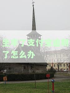 坐牢了支付宝逾期了怎么办-坐牢了支付宝逾期了怎么办呢