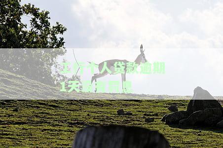 工行个人贷款逾期1天没有罚息？影响大吗？该如何处理？