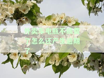 外卖车电瓶不续费了怎么还产生逾期了呢，外卖车电瓶未续费却出现逾期，原因何在？