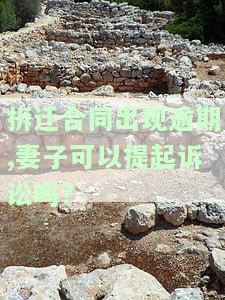 拆迁合同出现逾期,妻子可以提起诉讼吗?
