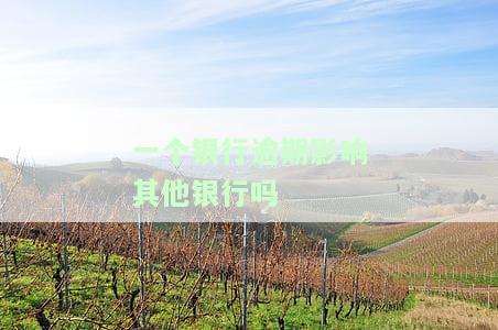 一家银行有逾期，别的银行能否继续贷款？安全性如何？是否会互相影响？是否会被其他银行知晓？逾期是否会影响其他信用卡？