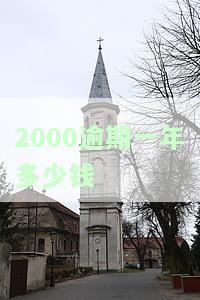 2000元逾期一年，遭遇高额罚息和信用受损，如何应对？