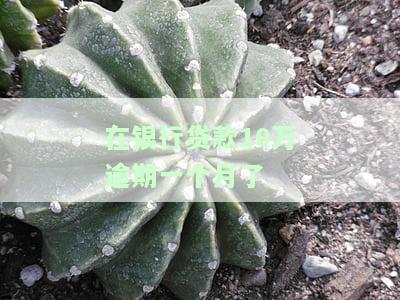 银行贷款10万已逾期一年，如何处理？利息计算及可能被起诉风险