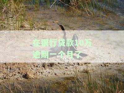 银行贷款10万逾期多久会被起诉？后果、利息及解决方法全解析