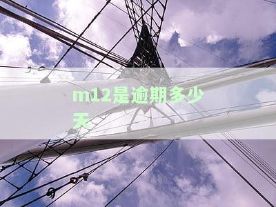 M1逾期：笔数、天数及率计算公式解析，新手如何做好M1逾期客服？
