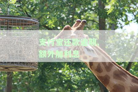 支付宝逾期利息计算方法：每天、每月或一次性扣款？全解答！