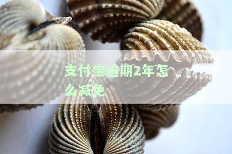 支付宝逾期二年，警示：支付宝逾期两年，可能面临严重后果！