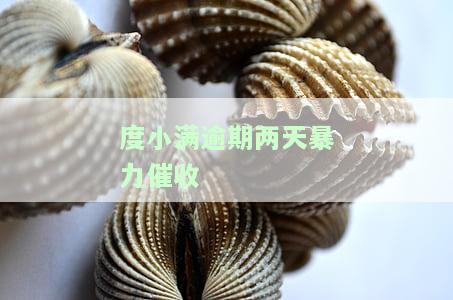 度小满逾期两天暴力催收-度小满逾期两天电话骚扰可以告他吗
