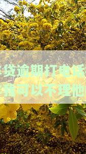 车贷逾期拖车会发信息告知家人或家属吗？有无通知时间，报警是否有效？