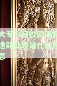 大专今日校园请假逾期处理是什么意思