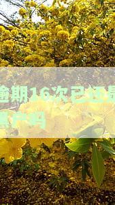 16次逾期会被拉入黑名单吗，逾期16次是否会列入黑名单？