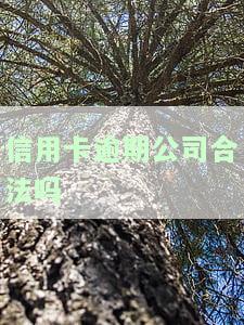 信用卡逾期公司合法吗，探讨信用卡逾期公司的合法性问题