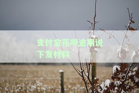 支付宝花呗逾期说下发材料什么意思，解析支付宝花呗逾期：为何会接到“下发材料”的通知？