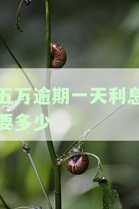 五万逾期一天利息要多少钱，逾期一天，五万元的利息要多少？