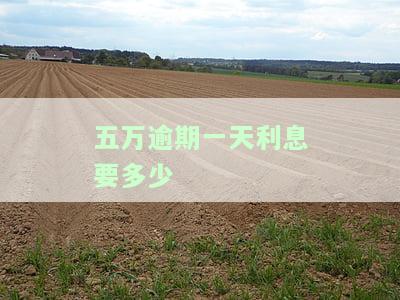 五万逾期一天究竟要支付多少利息？