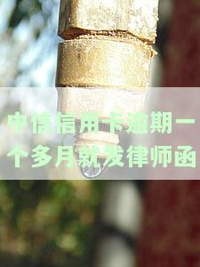 中信逾期3个月有律师打电话和银行客服还能协商吗，中信逾期三个月，律师与银行客服介入是否能成功协商还款？