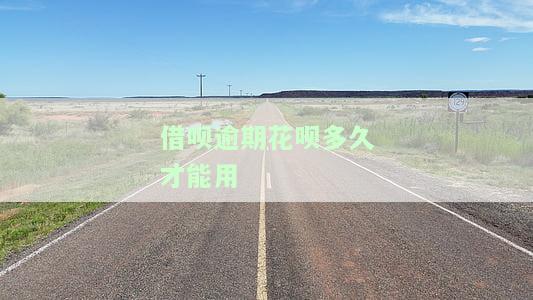 借呗逾期了几天花呗就不能用了,多久能使用，借呗逾期几天会影响花呗使用？恢复时间解析