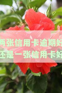 两张信用卡逾期好还是一张信用卡好