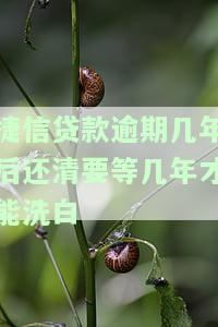 捷信逾期几年后还了还能再办理贷款业务吗？影响征信吗？