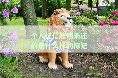 个人征信报告有逾期的样子及影响：记录、后果与解决方法
