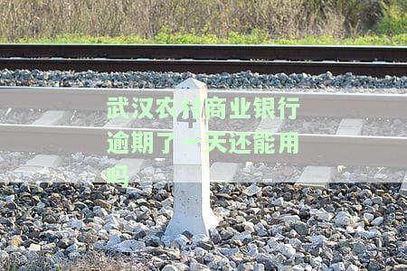 武汉农村商业银行逾期一天能否继续使用？现在是否已上征信？房贷逾期一天会有什么影响？