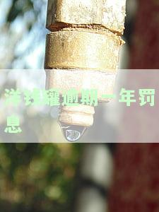 洋钱罐借款逾期半年，警示：洋钱罐借款逾期半年，后果严重！
