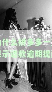 拼多多显示退款中是什么意思？申请退款后多久能到账？