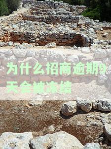 为什么招商逾期9天会被冻结银行卡，招商银行逾期9天，为何会被冻结银行卡？